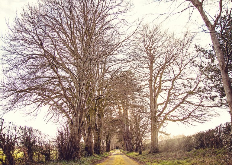 HeidiGiacalone_Ireland_CountyDonegal_03111214_006ee