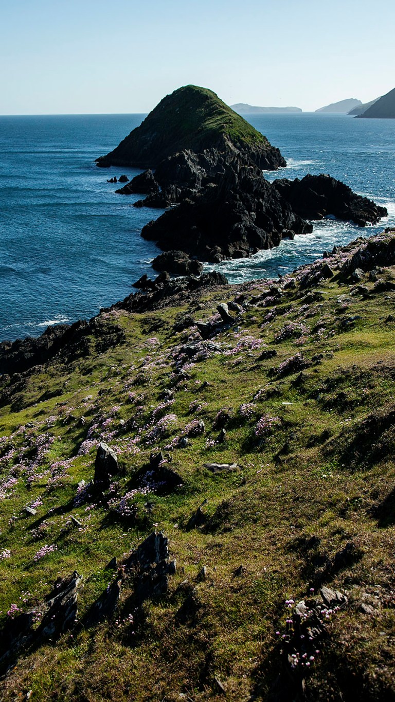 20150608_Ireland_0080