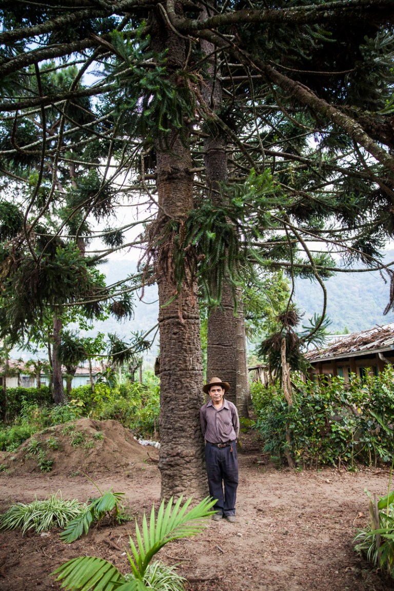 20160107_Guatemala_1679