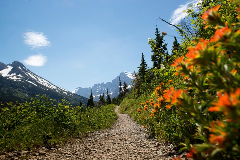 20160607_glacier_np_005