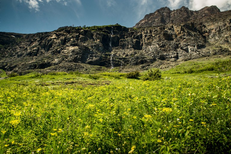 20160607_glacier_np_006