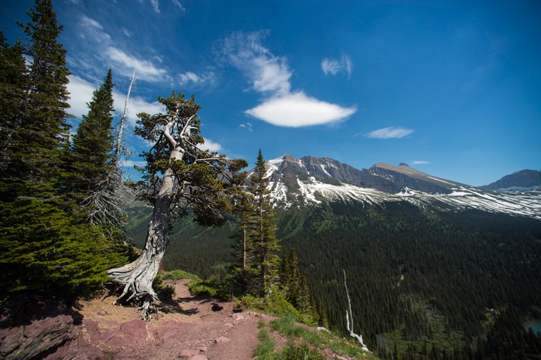 Glacier National Park