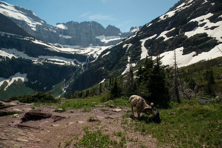 Grinnell Lake - Glacier National Park